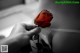 A person holding a red rose in their hand.